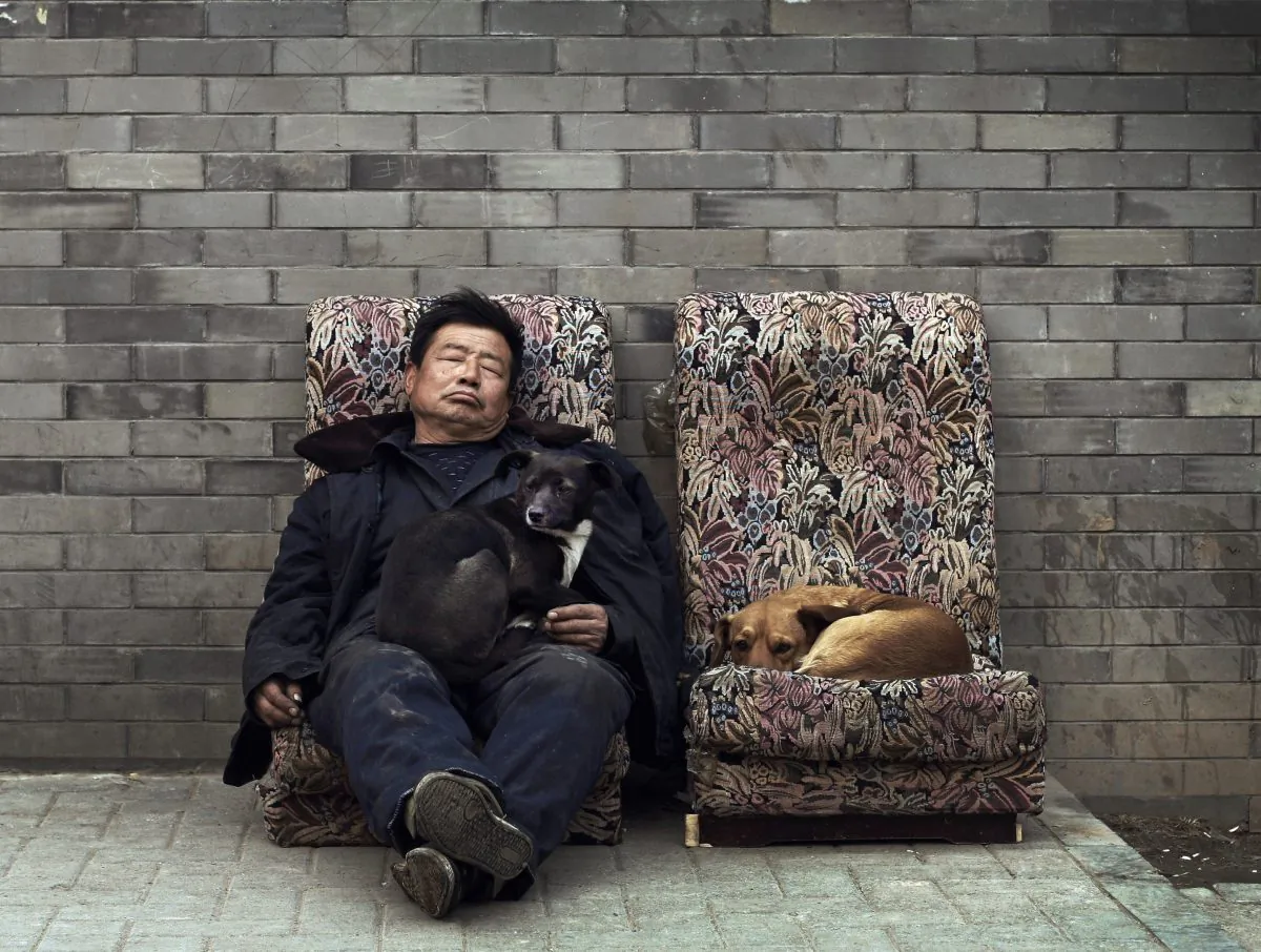 Stray dogs take rest together with a man on the broken sofas placed near a hutong in Beijing Wednesday, Feb. 23, 2011.  (AP Photo/Andy Wong)