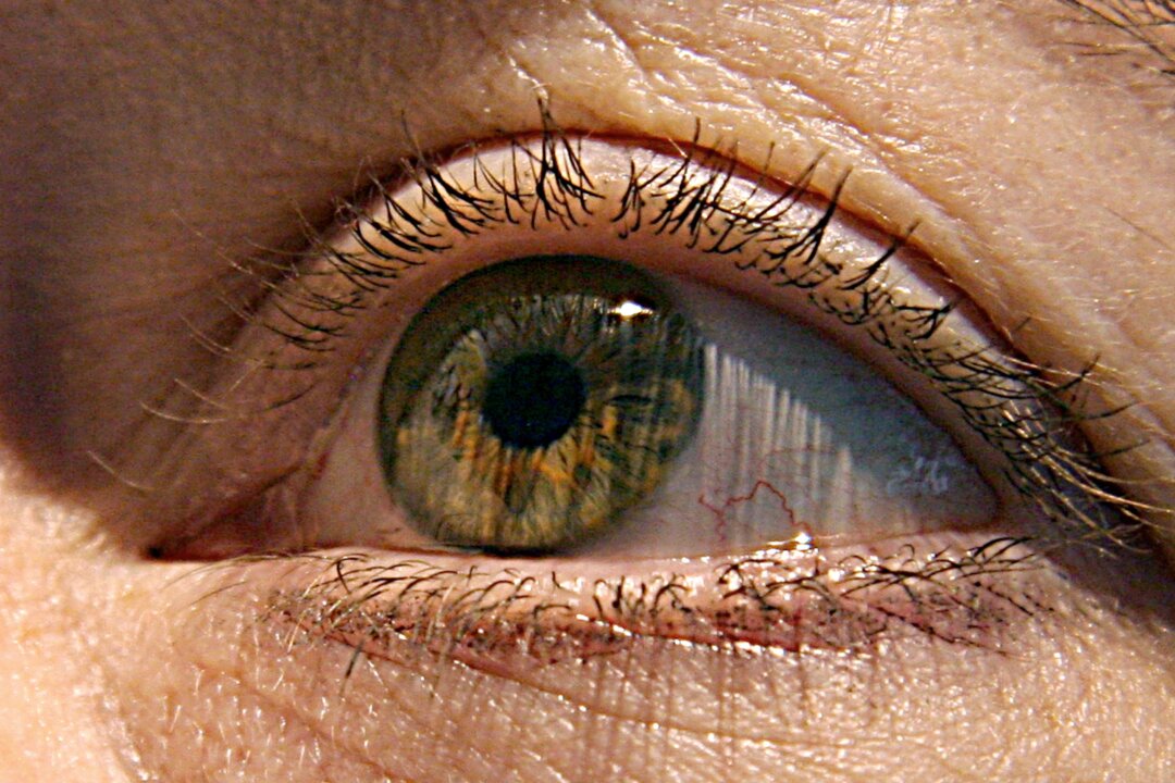 US scientists have identified two genes responsible for macular degeneration, the gradual deterioration of eyesight in the elderly that can lead to blindness, a study showed this week.The research published 24 April 2007, in the Journal of the American Medical Association also showed that smoking and being overweight carry a strong risk of the condition, in which the central part of the eye's retina degenerates.        (Photo credit should read KAREN BLEIER/AFP/Getty Images)