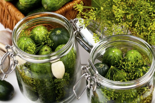 Homemade pickles in brine with garlic, dill and horseradish on woodboard