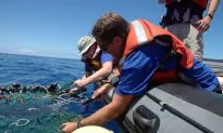 Oceans May Be Facing a ‘Silent Spring,’ Biologist Warns