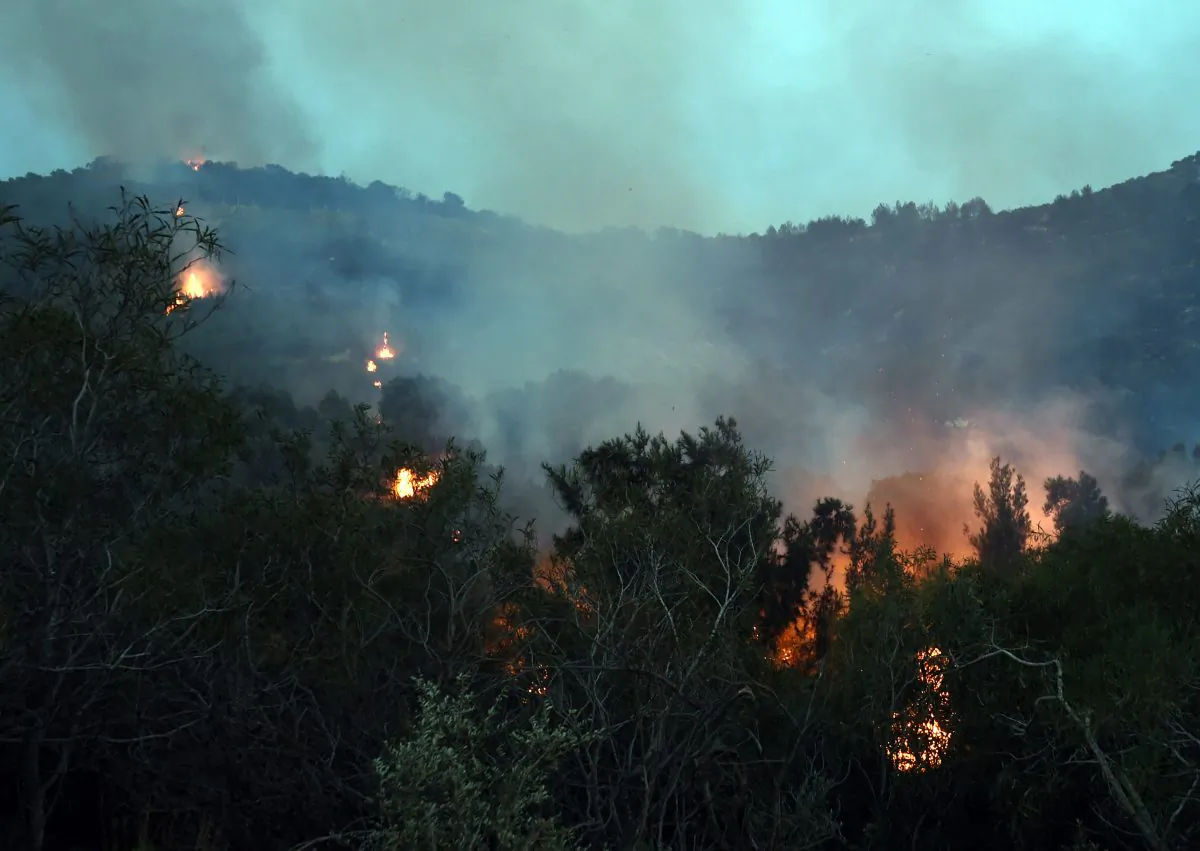 This photo shows a blaze spreading through the hills of the Mont Nahli Park, north of Tunis, after a fire broke out on June 5, 2014. (FETHI BELAID/AFP/Getty Images)
