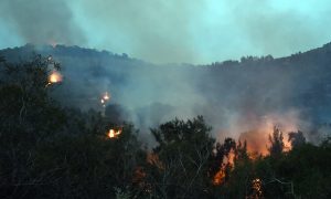 The Impact of Savanna Fires on Africa's Rainfall Patterns
