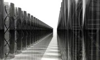 Organic ‘Computers’ Made of DNA Could Process Data Inside Our Bodies