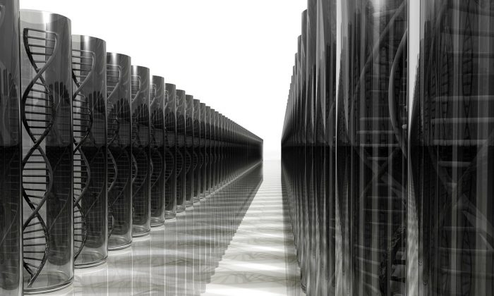 Will we see DNA in the mainframe? (PublicDomainPictures/CC 0)