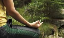 The Beginner’s Guide to Yoga