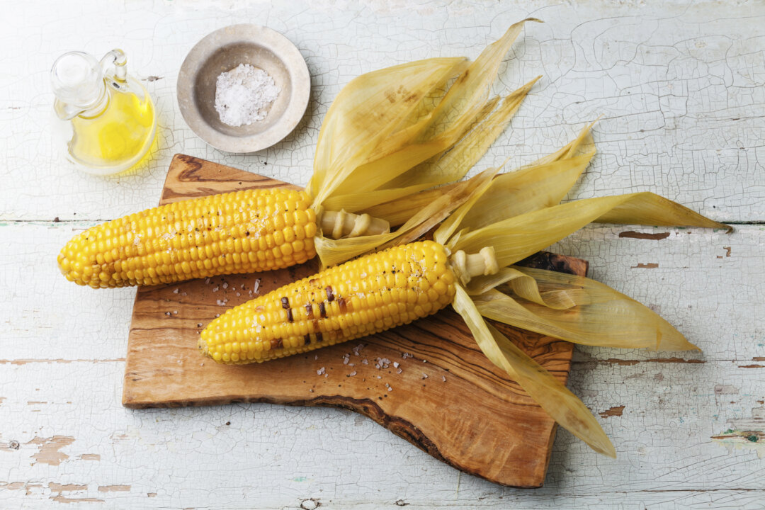 Boiled corn cob with salt on blue textural background