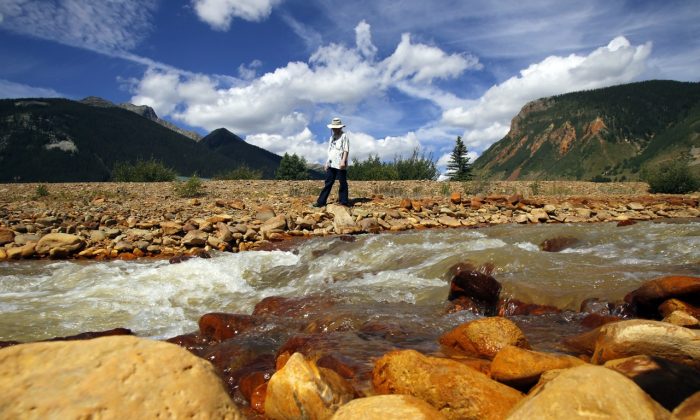 FILE - In this Aug. 10, 2015, file photo, Silverton, Colo., resident Melanie Bergolc walks along the banks of Cement Creek in Silverton, polluted by mine waste runoff. The focus on a toxic mine spill that fouled rivers in three states shifts to Congress the week of Sept. 7 as lawmakers kick off a series of hearings into how the U.S. Environmental Protection Agency accidentally unleashed the deluge of poisoned water. (Jon Austria/The Daily Times via AP, File) MANDATORY CREDIT