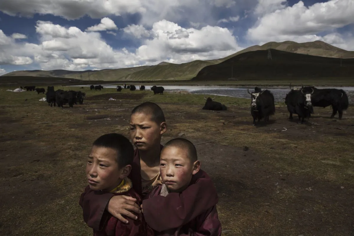 Young Tibetan Buddhist novice monks stand in the grasslands of their nomadic camp on July 24, 2015 on the Tibetan Plateau in Madou County, Qinghai, China. (Kevin Frayer/Getty Images)