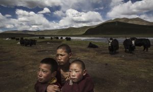 In Politicized White Paper, China Says Tibet Is in a 'Golden Age'