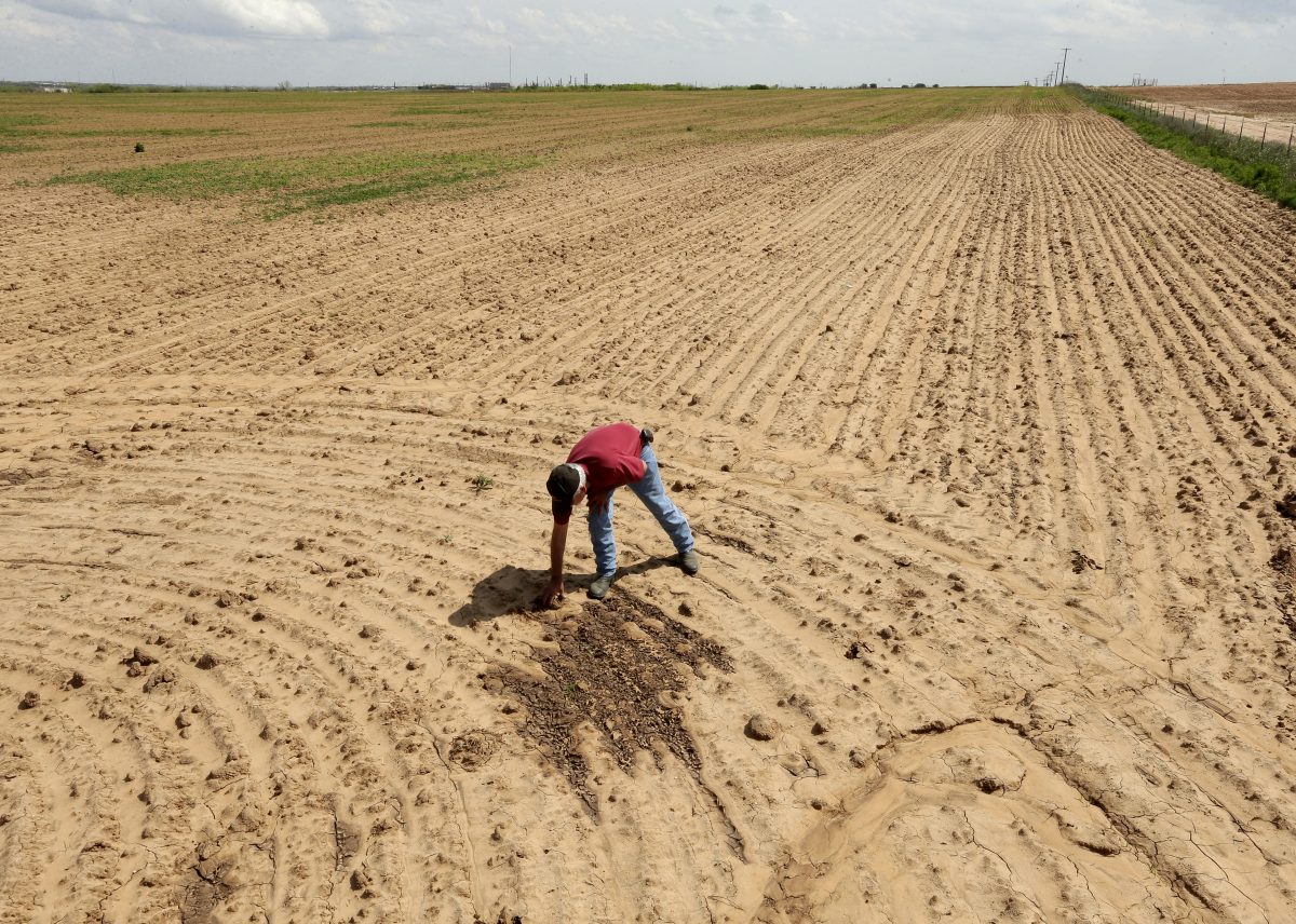 Lawmakers Want to Ban Chinese Companies From Buying US Farmland Due to 'National Security' Threat