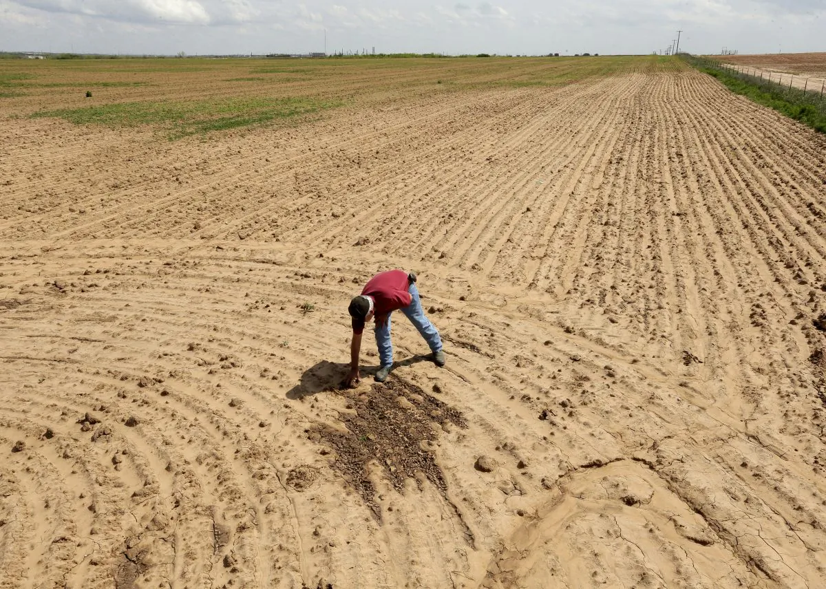 A man looks over land in Snyder, Texas, on April 22. (Charlie Riedel/AP Photo)