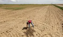 Lawmakers Want to Ban Chinese Companies From Buying US Farmland Due to ‘National Security’ Threat