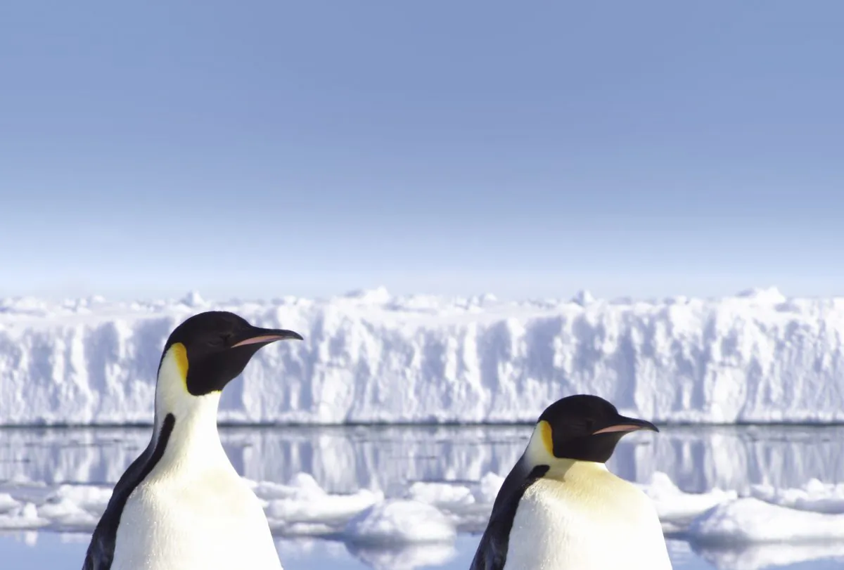 "Our results are tentatively good news," Matthew Winnick says. "They suggest that global sea level is less sensitive to high atmospheric carbon dioxide concentrations than previously thought." (Coldimages/iStock)