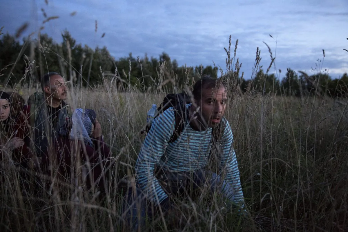 Refugees are smuggled through fields and forests in an attempt to evade the Hungarian police close to the Serbian border on September 8, 2015 in Roszke, Hungary. (Dan Kitwood/Getty Images)