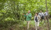 A Curious Alliance: Prince Charles and Transylvania’s Medieval Villages