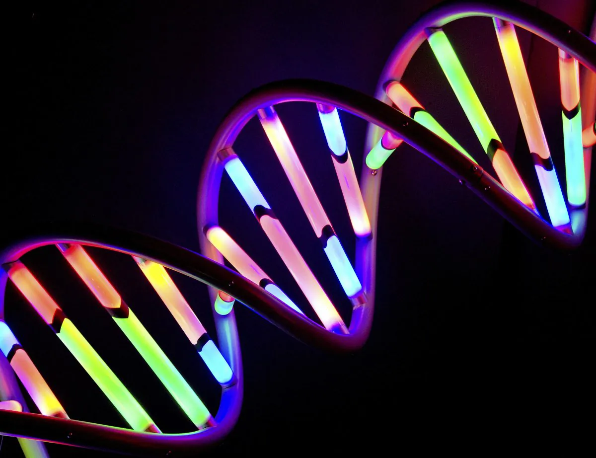"Our next step will be to explore the many potential applications of our new biomaterial," says Yun (Kurt) Mou. "It could be incorporated into methods to deliver drugs into cells—to create targeted therapies that only bind to a certain biomarker on a certain cell type, such as cancer cells." (SigridKlop/iStock)