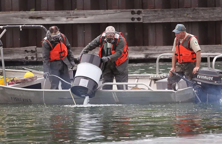 Workers with the Asian Carp Regional Coordinating Committee dump a chemical into the Little Calumet River to kill all of the fish in a two-mile stretch of the river on May 20, 2010, in Chicago. (Scott Olson/Getty Images)