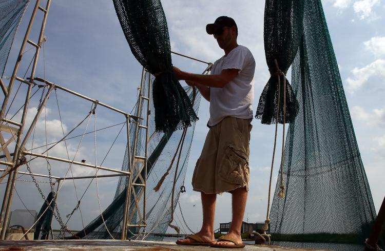 DULARGE, LA - Daniel May sets up his nets on a shrimping barge located in a bayou on August 16. Today marks the beginning of the shrimping season for white shrimp in Louisiana, the first since the Deepwater Horizon. (Win McNamee/Getty Images)