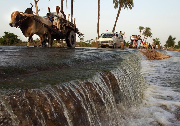 Flood victims head back home on a flooded road as the water level goes down August 26, in Baseera, Punjab, Pakistan. (Paula Bronstein/Getty Images ) Flood victims head back home on a flooded road as the water level goes down August 26, in Baseera, Punjab, Pakistan. (Paula Bronstein/Getty Images )