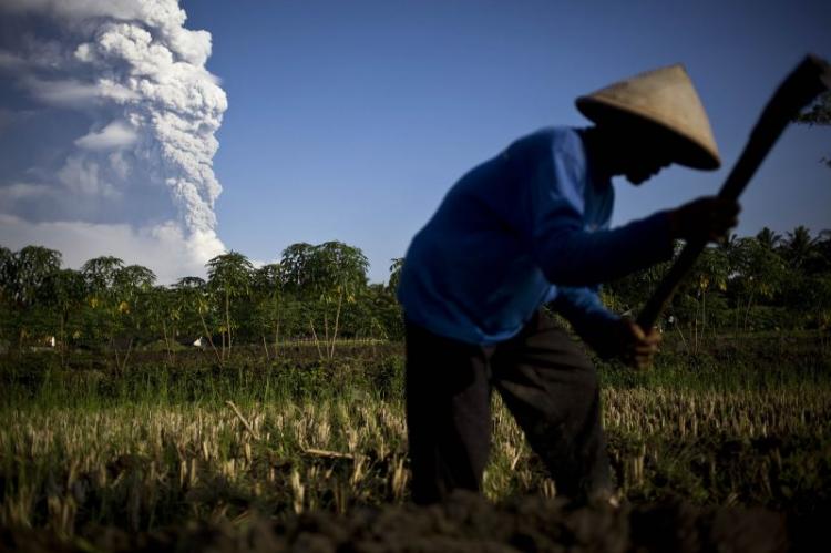 Mount Merapi erupting as farmer works in the rice fields. (By: Ulet Ifansasti/Getty Images) Mount Merapi erupting as farmer works in the rice fields. (By: Ulet Ifansasti/Getty Images)