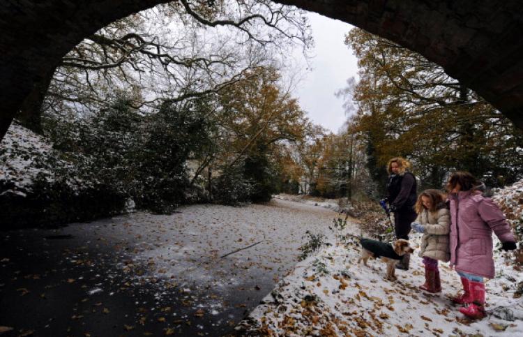 Basingstoke Canal, west of London on Dec. 20, 2010. (Adrian Dennis/AFP/Getty Images) Basingstoke Canal, west of London on Dec. 20, 2010. (Adrian Dennis/AFP/Getty Images)