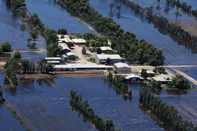 Australia Floods Death and Damages Toll Spreads Outside Queensland
