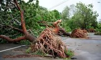 Storm System Could Redevelop Into a Cyclone Over State
