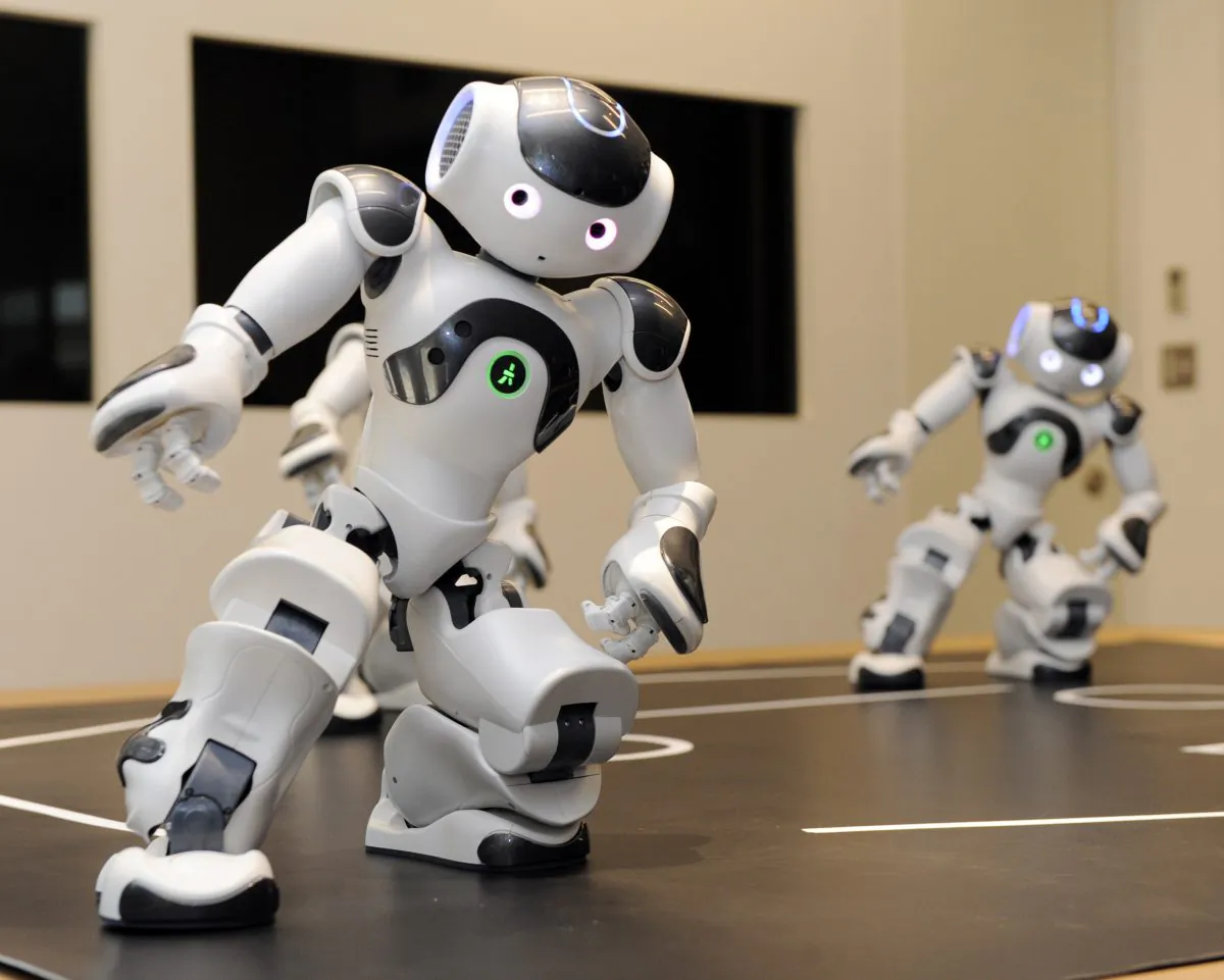Humanoid robots called 'Nao' from the French robotics venture Aldebaran demonstrate their skills during a display at the French Embassy in Tokyo on October 13, 2010. (YOSHIKAZU TSUNO/AFP/Getty Images)