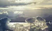 Can Ice Clouds Start With Particles From Sea Spray?