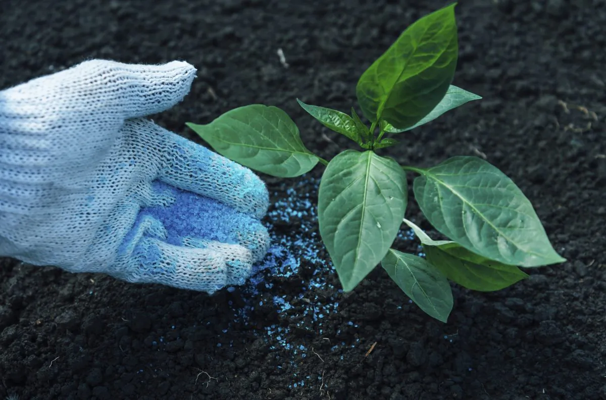 Fertilizers have an impact on microbial communities that may have negative environmental consequences. (Remains/iStock)