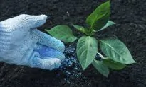 How Fertilizer Alters Soil Microbes Around the World