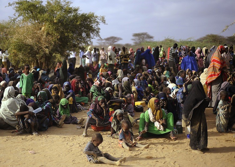 Somali refugees line-up to be registered to receive aid after having been displaced from their homes in southern Somalia by a famine that is ravaging the horn of Africa, on August 2, at Dagahaley refugee site. (Tony Karumba/Getty Images)