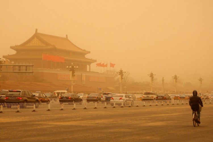 Beijing in Sandstorm Beijing in Standstorm