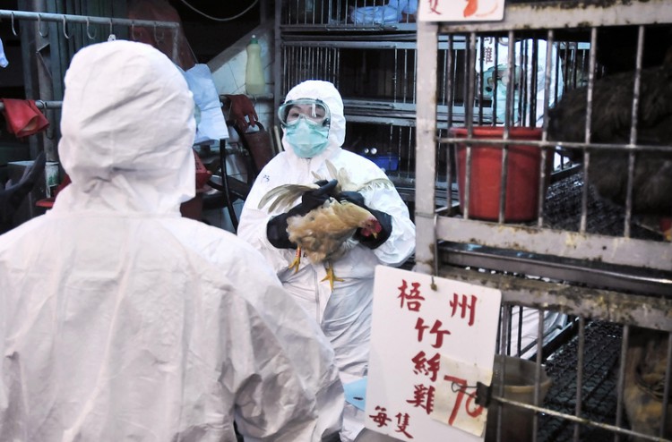 Epoch Times Photo