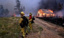 Northern California Wildfires Destroy Nearly 1,600 Homes