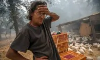 Wildfire Evacuees Tell Stories of Devastation, Survival