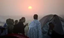 Serbia Police Find Illegal Immigrant Camp, People Smugglers