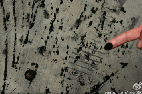 1303111052462608 Epoch Times Photo