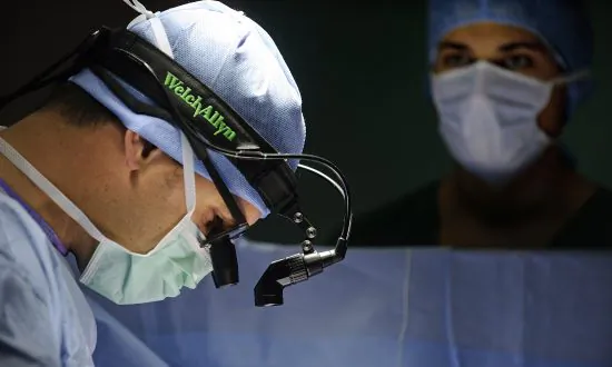 Animal Research Remains at the Heart of Medical Progress