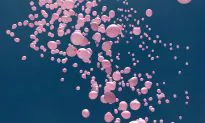 Mammography Is Harmful & Should Be Abandoned, Review Concludes