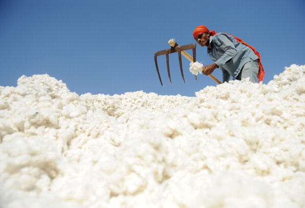Epoch Times Photo