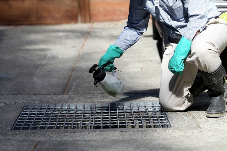 Health Officials Expect Active West Nile Season Health Officials Expect Active West Nile Season