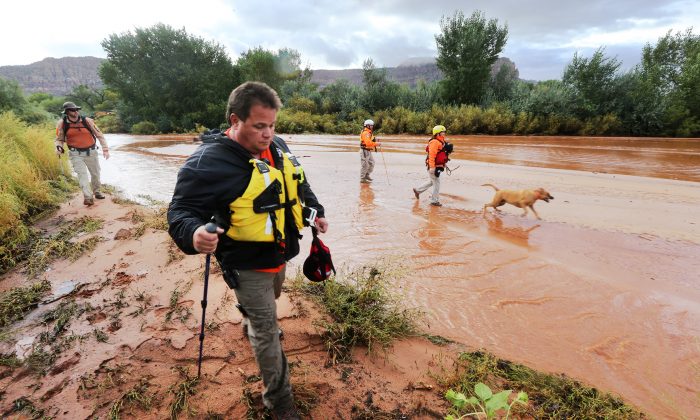 Members of the Mojave County search and rescue team use dogs to search for the bodies after a flash flood in Colorado City, Ariz., on Tuesday, Sept. 15, 2015. (Scott G Winterton/The Deseret News via AP)