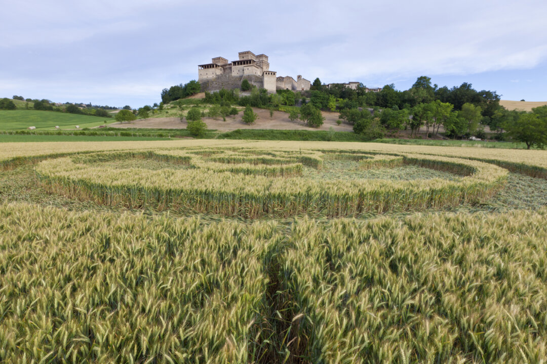 Historical Crop Circles Before People Knew What Crop Circles Were historical-crop-circles-before-people-knew-what-crop-circles-were
