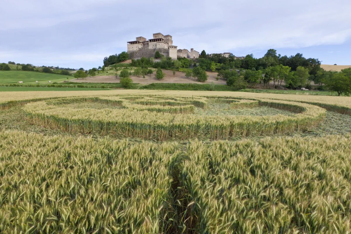 A file photo of a crop circle (Teslamax/iStock)