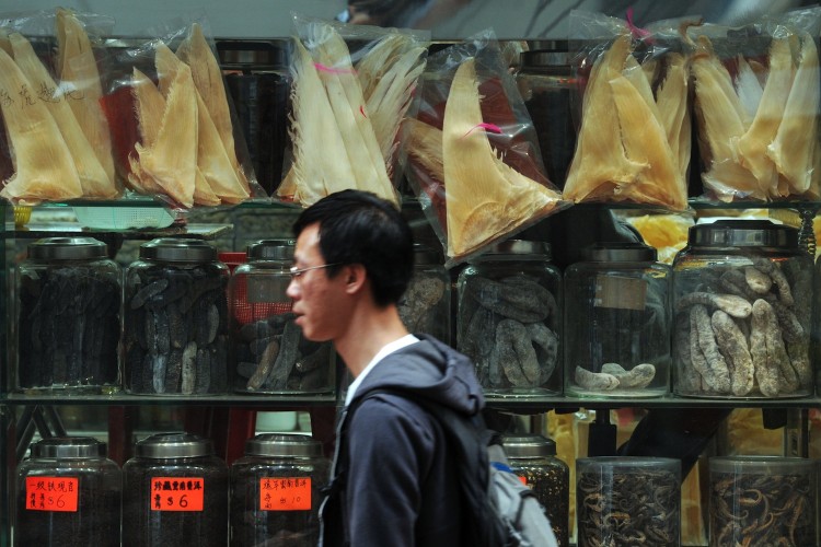 HONG KONG-ENVIRONMENT-SPECIES-SHARK-COMPANY-CATHAY-FILES Hong Kong. Cathay Pacific