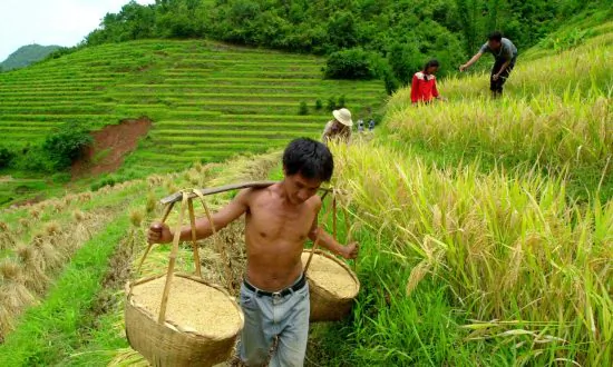 Beijing’s New Policy Reveals Poverty, Food Security Are Top Concerns for 2021