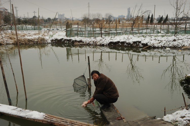Epoch Times Photo