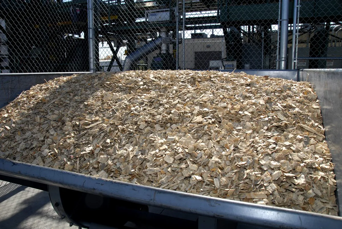 (U.S. Department of Agriculture/CC BY 2.0)