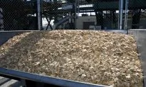 Does Bioenergy Have a Green Energy Future in the US?